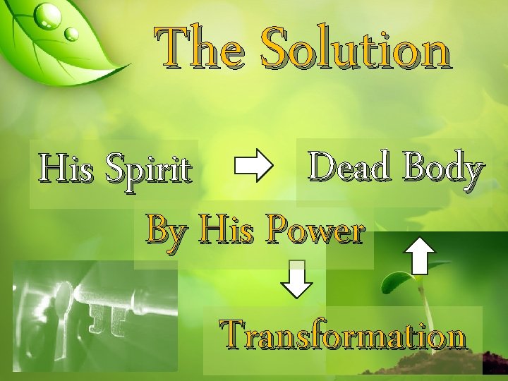 The Solution Dead Body His Spirit By His Power Transformation 