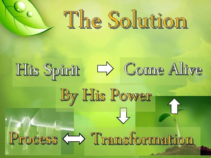 The Solution Come Alive His Spirit By His Power Process Transformation 