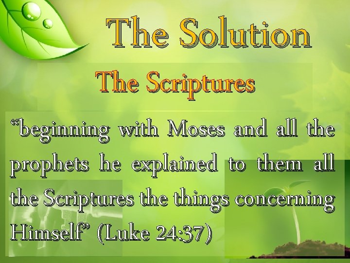 The Solution The Scriptures “beginning with Moses and all the prophets he explained to