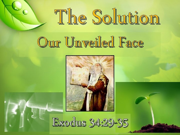 The Solution Our Unveiled Face Exodus 34: 29 -35 