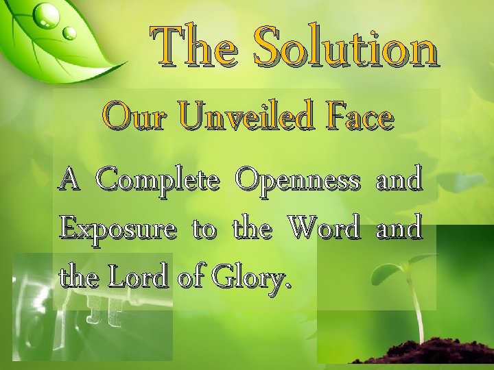 The Solution Our Unveiled Face A Complete Openness and Exposure to the Word and