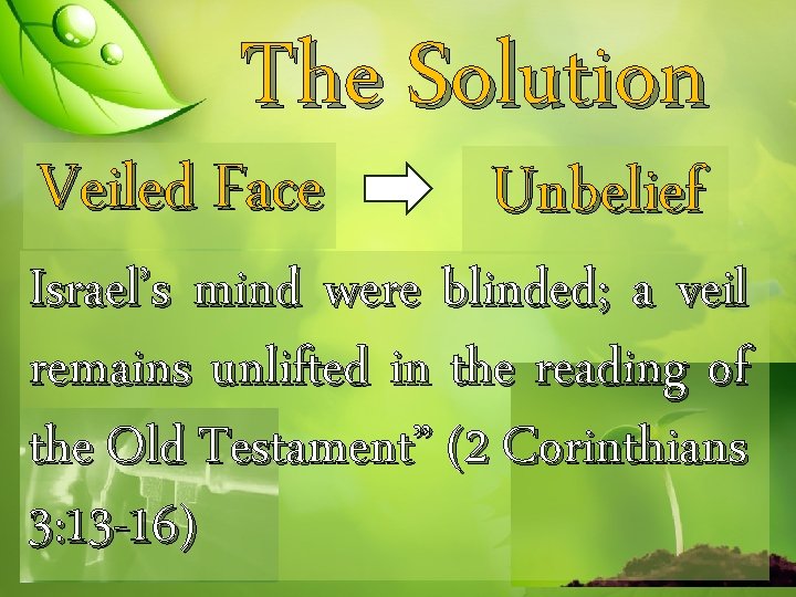 The Solution Veiled Face Unbelief Israel’s mind were blinded; a veil remains unlifted in