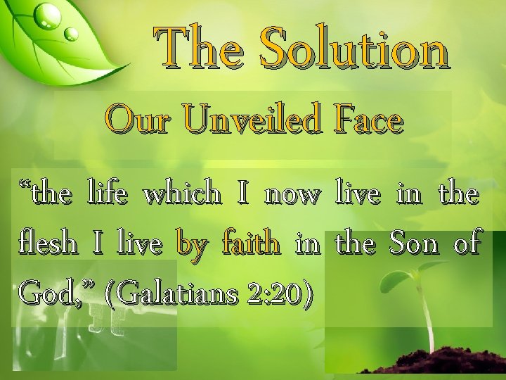 The Solution Our Unveiled Face “the life which I now live in the flesh