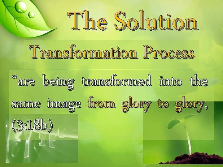 The Solution Transformation Process “are being transformed into the same image from glory to