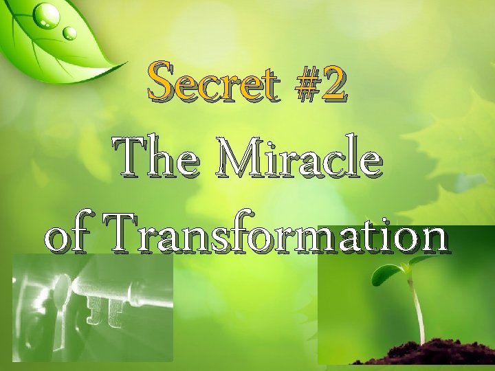 Secret #2 The Miracle of Transformation 