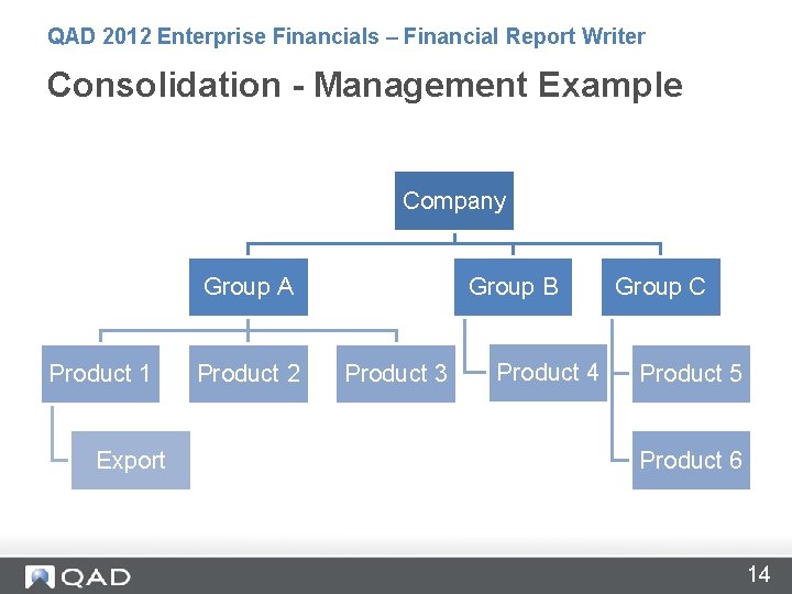 QAD 2012 Enterprise Financials – Financial Report Writer Consolidation - Management Example Company Group