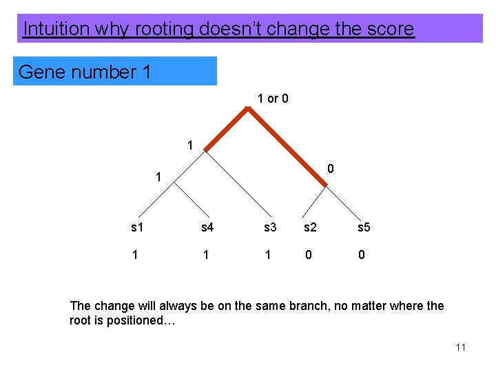 Intuition why rooting doesn’t change the score Gene number 1 1 or 0 1