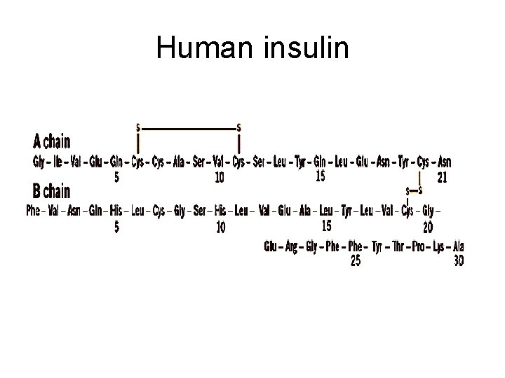 Human insulin 