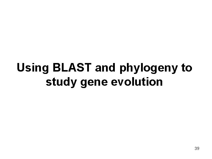 Using BLAST and phylogeny to study gene evolution 39 