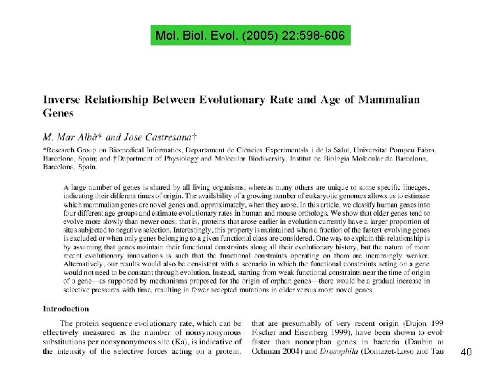 Mol. Biol. Evol. (2005) 22: 598 -606 40 