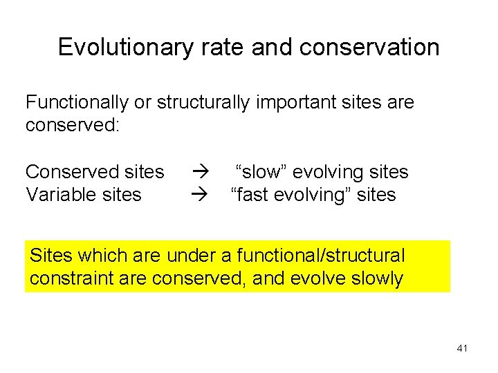 Evolutionary rate and conservation Functionally or structurally important sites are conserved: Conserved sites Variable