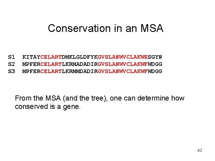 Conservation in an MSA S 1 S 2 S 3 KITAYCELARTDMKLGLDFYKGVSLANWVCLAKWESGYN MPFERCELARTLKRMADADIRGVSLANWVCLAKWFWDGG MPFERCELARTLKRMMDADIRGVSLANWVCLAKWFWDGG From
