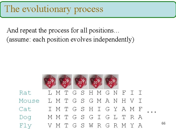 The evolutionary process And repeat the process for all positions… (assume: each position evolves