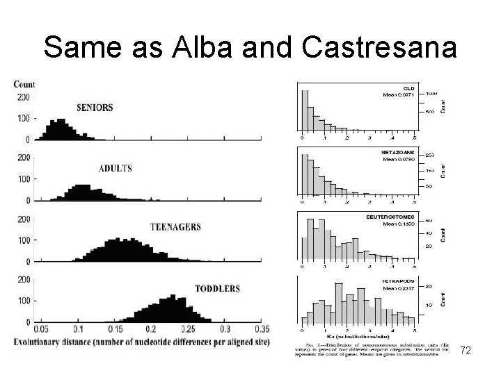 Same as Alba and Castresana 72 