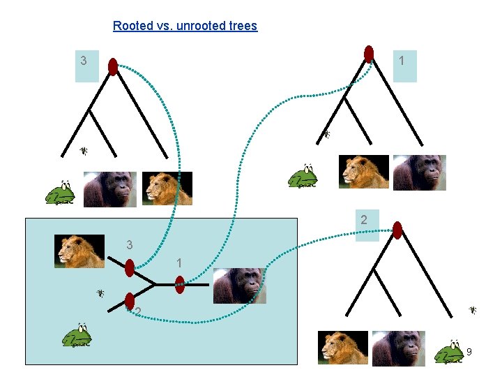 Rooted vs. unrooted trees 3 1 2 9 