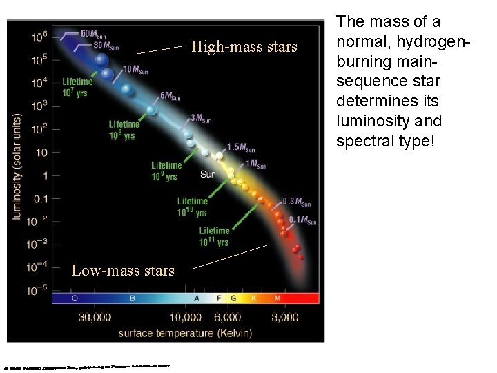 High-mass stars Low-mass stars The mass of a normal, hydrogenburning mainsequence star determines its