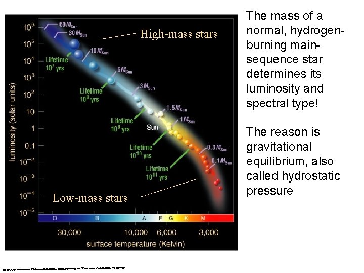 High-mass stars Low-mass stars The mass of a normal, hydrogenburning mainsequence star determines its