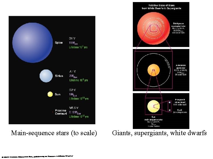 Main-sequence stars (to scale) Giants, supergiants, white dwarfs 