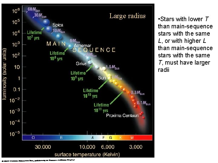 Large radius • Stars with lower T than main-sequence stars with the same L,