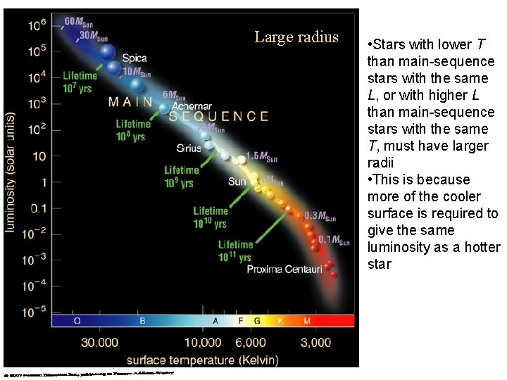 Large radius • Stars with lower T than main-sequence stars with the same L,