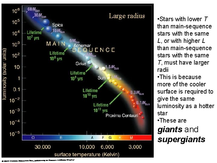 Large radius • Stars with lower T than main-sequence stars with the same L,