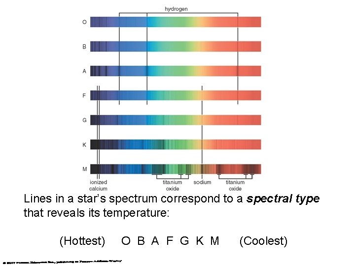 Lines in a star’s spectrum correspond to a spectral type that reveals its temperature: