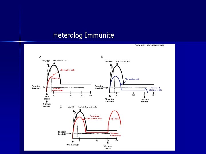 Heterolog İmmünite Heterolog İmmünite