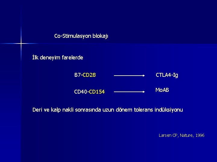 Co-Stimulasyon blokajı İlk deneyim farelerde B 7 -CD 28 CTLA 4 -Ig CD 40 Co-Stimulasyon blokajı İlk deneyim farelerde B 7 -CD 28 CTLA 4 -Ig CD 40