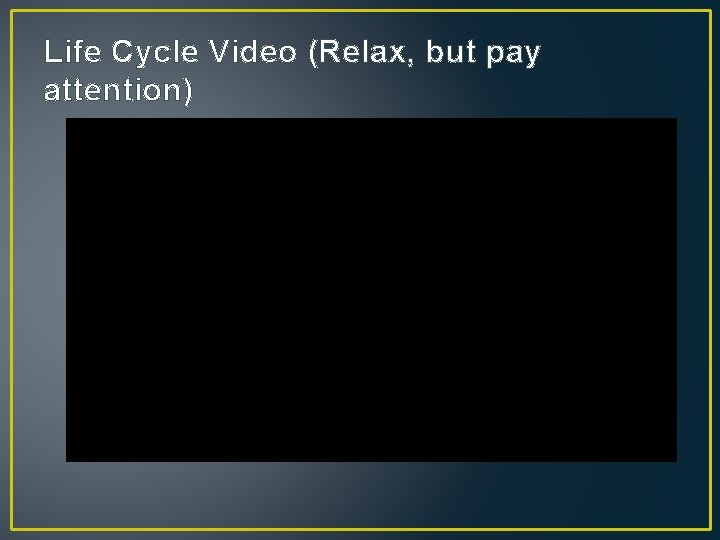 Life Cycle Video (Relax, but pay attention) 