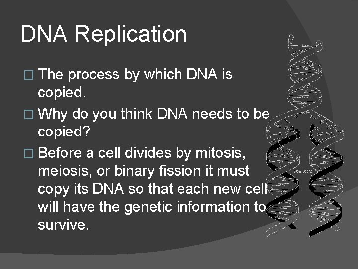 DNA Replication � The process by which DNA is copied. � Why do you