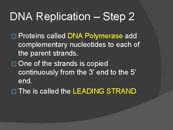 DNA Replication – Step 2 � Proteins called DNA Polymerase add complementary nucleotides to
