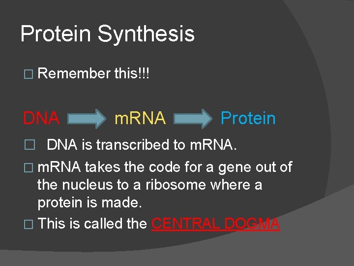 Protein Synthesis � Remember this!!! DNA m. RNA Protein � DNA is transcribed to