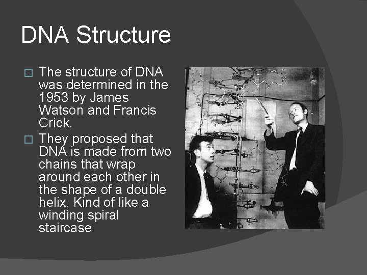 DNA Structure The structure of DNA was determined in the 1953 by James Watson