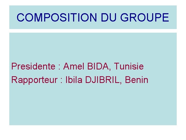 COMPOSITION DU GROUPE Presidente : Amel BIDA, Tunisie Rapporteur : Ibila DJIBRIL, Benin 