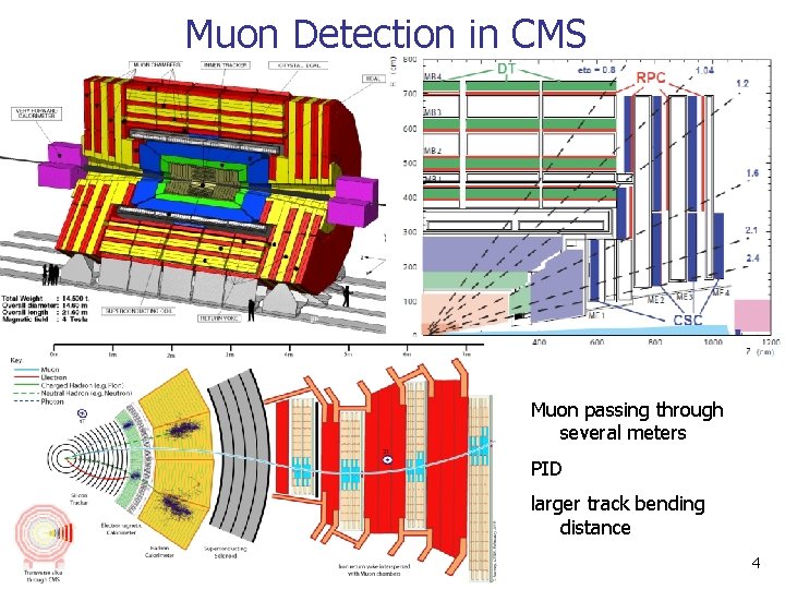 Muon Detection in CMS Muon passing through several meters PID larger track bending distance Muon Detection in CMS Muon passing through several meters PID larger track bending distance