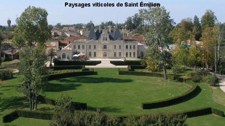 Paysages viticoles de Saint Émilion 