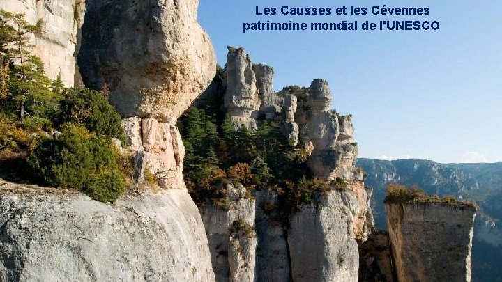 Les Causses et les Cévennes patrimoine mondial de l'UNESCO 