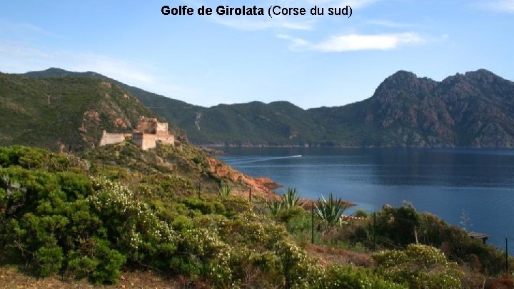 Golfe de Girolata (Corse du sud) 