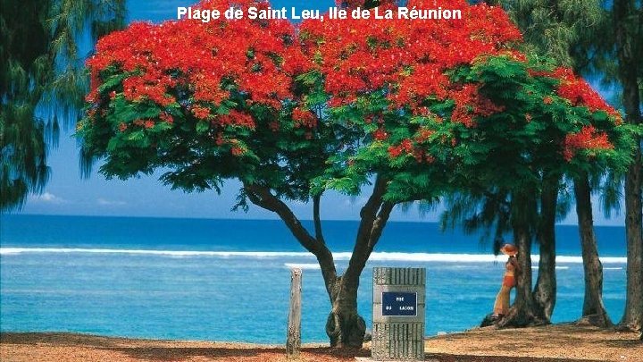 Plage de Saint Leu, Ile de La Réunion 