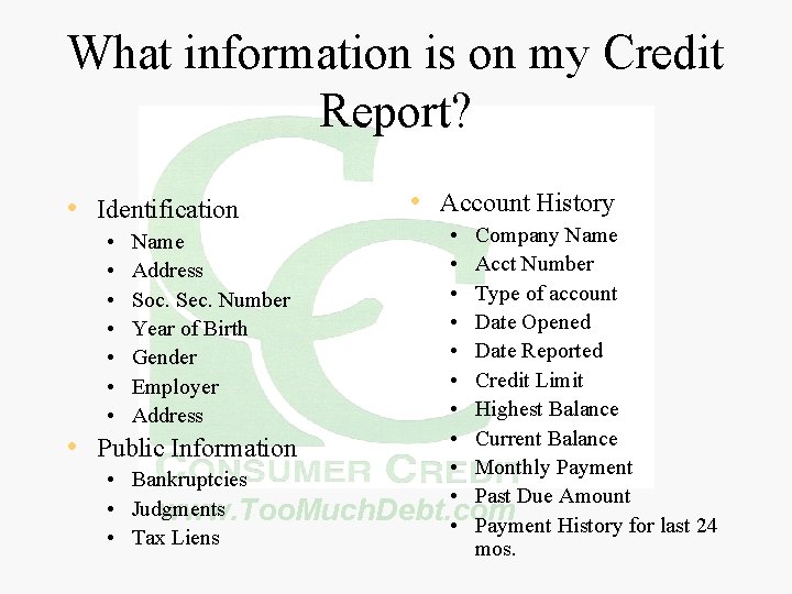 What information is on my Credit Report? • Identification • Company Name • Acct