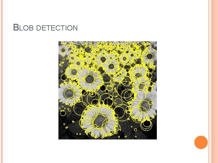 BLOB DETECTION 