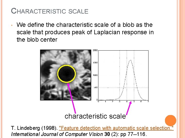 CHARACTERISTIC SCALE • We define the characteristic scale of a blob as the scale