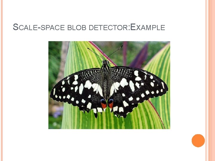 SCALE-SPACE BLOB DETECTOR: EXAMPLE 