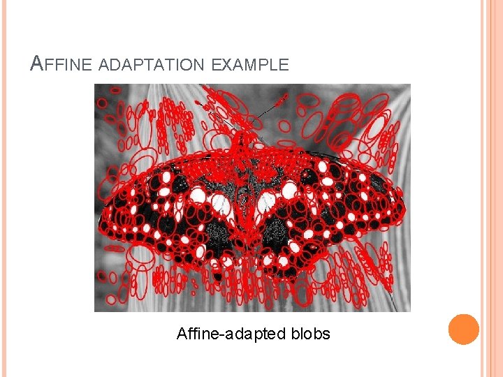 AFFINE ADAPTATION EXAMPLE Affine-adapted blobs 