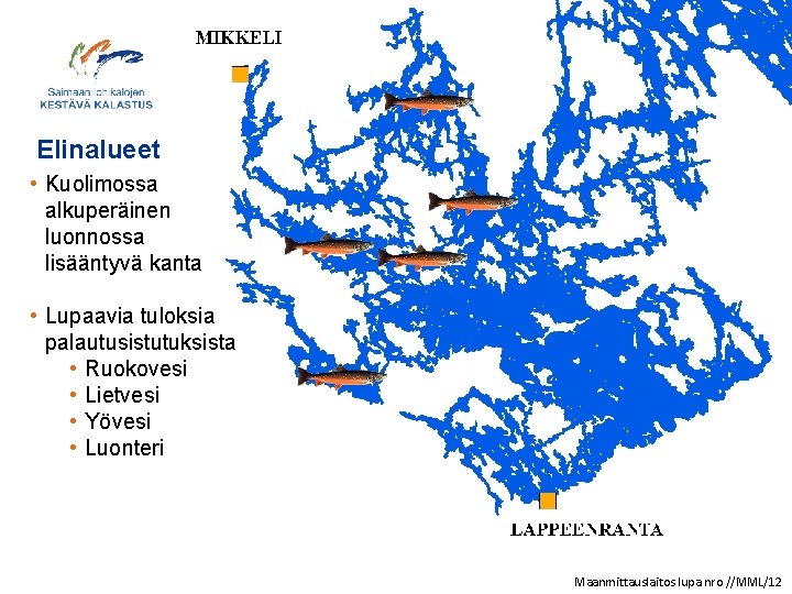 Elinalueet • Kuolimossa alkuperäinen luonnossa lisääntyvä kanta • Lupaavia tuloksia palautusistutuksista • Ruokovesi •