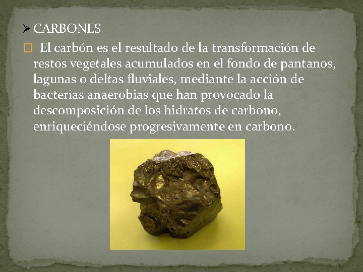 Ø CARBONES � El carbón es el resultado de la transformación de restos vegetales