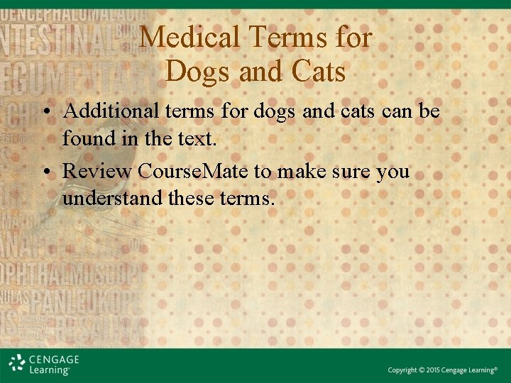 Medical Terms for Dogs and Cats • Additional terms for dogs and cats can