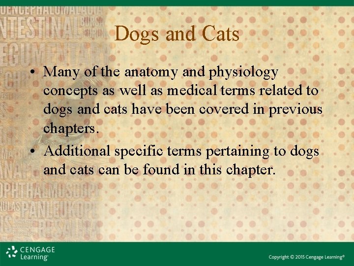 Dogs and Cats • Many of the anatomy and physiology concepts as well as