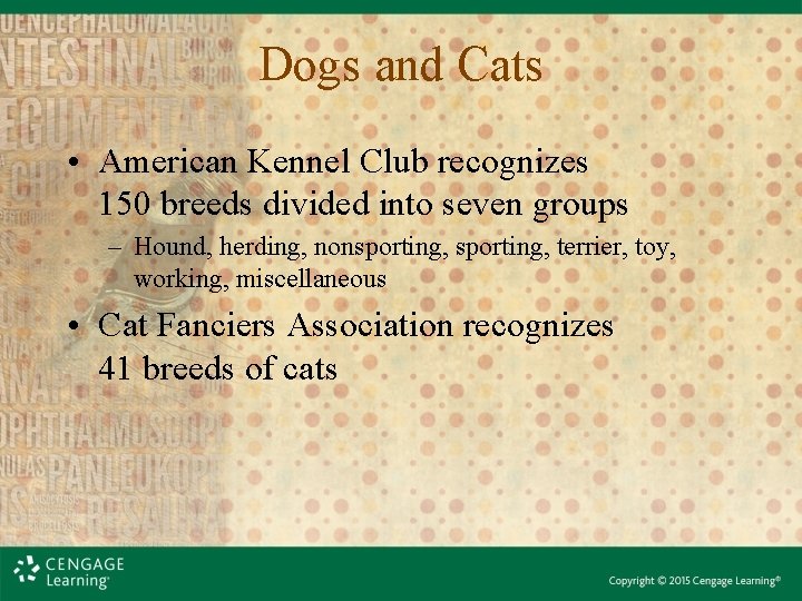 Dogs and Cats • American Kennel Club recognizes 150 breeds divided into seven groups