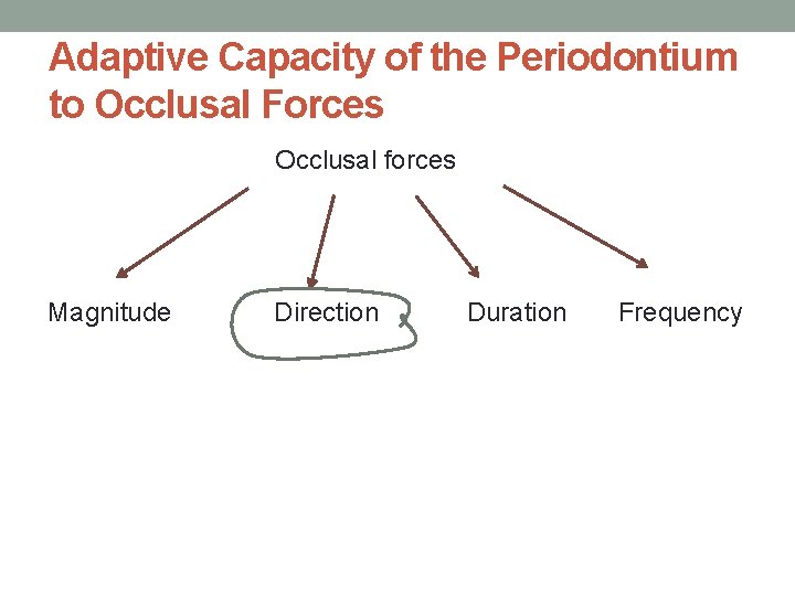Adaptive Capacity of the Periodontium to Occlusal Forces Occlusal forces Magnitude Direction Duration Frequency